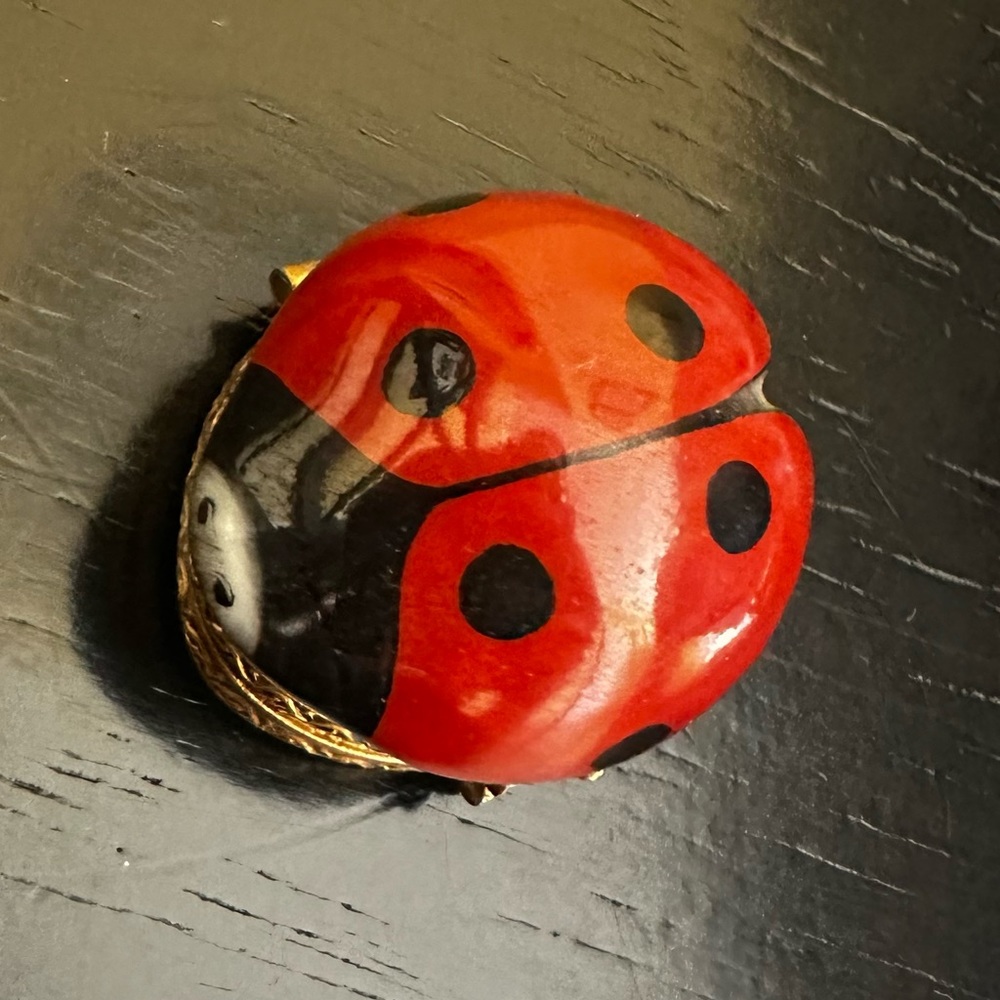 Hand painted Limoges box, ladybug, purchased in France